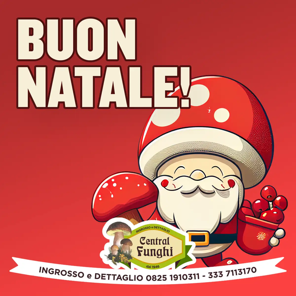 post social di central funghi in occasione di natale